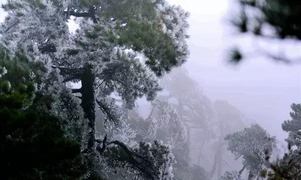 摩托艇海上遇险 三亚海警深夜救助