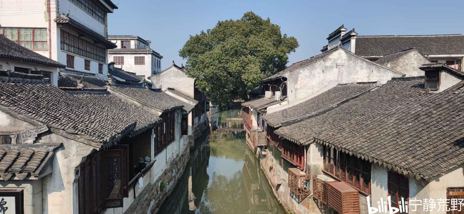 【两会关注】罗永慧代表:完善基础设施 做强中药材产业
